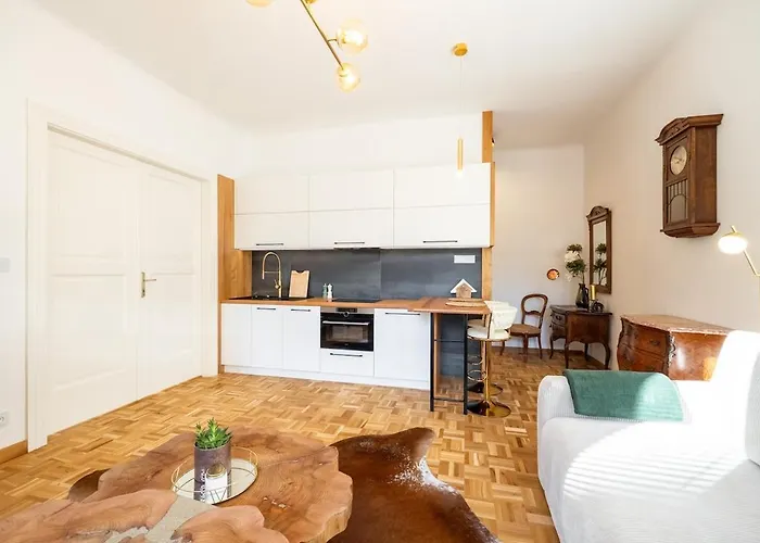 Lejlighed Luxury Design Palackeho Prag