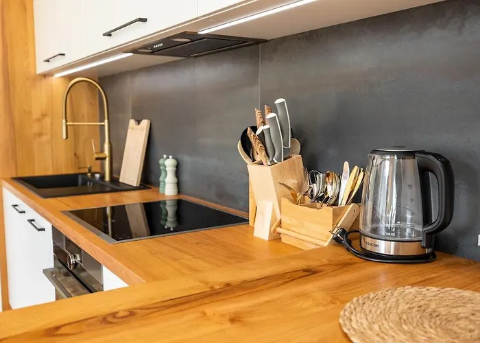Lejlighed Luxury Design Palackeho Prag