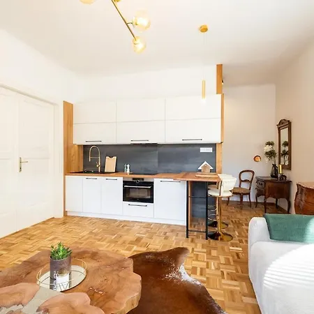 Apartment Luxury Design Palackeho Prague